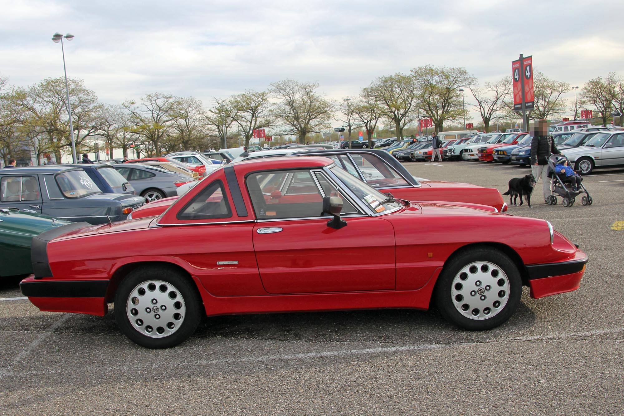 Alfa Romeo  Spider 3