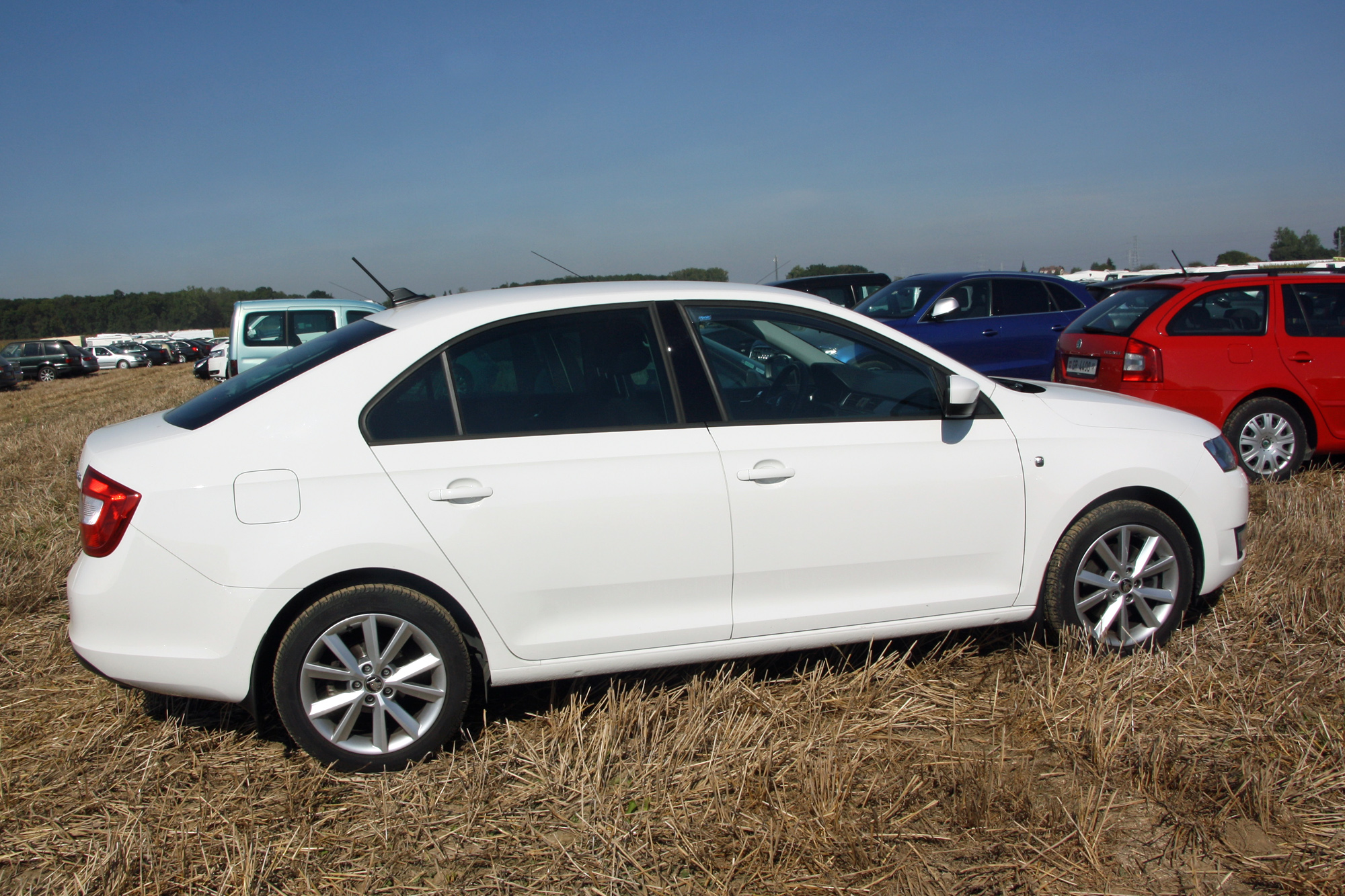 Skoda Rapid