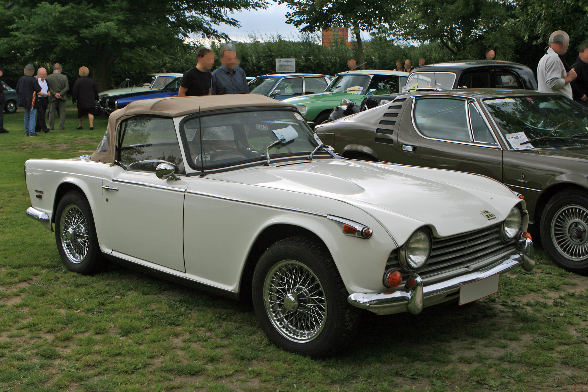 Triumph TR250