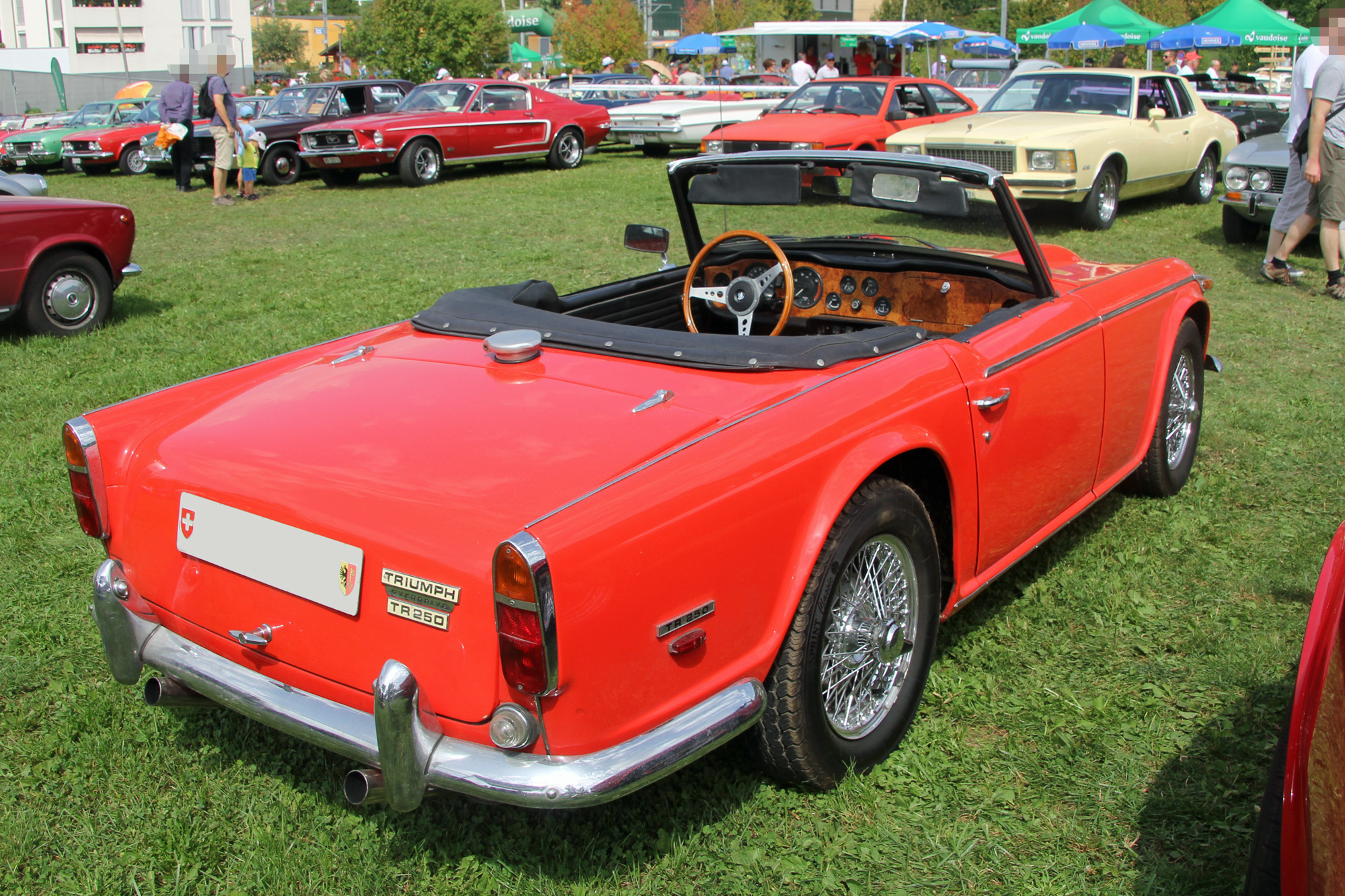 Triumph TR250