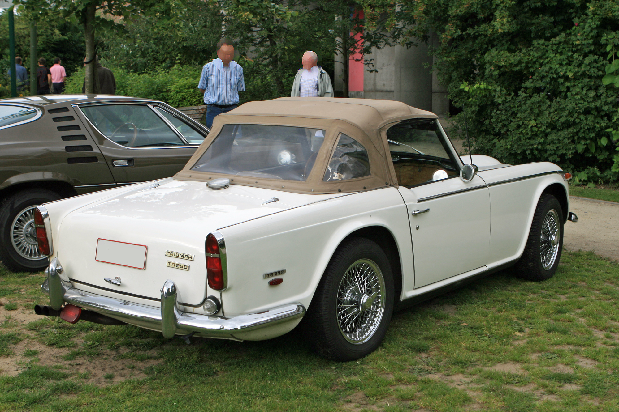 Triumph TR250