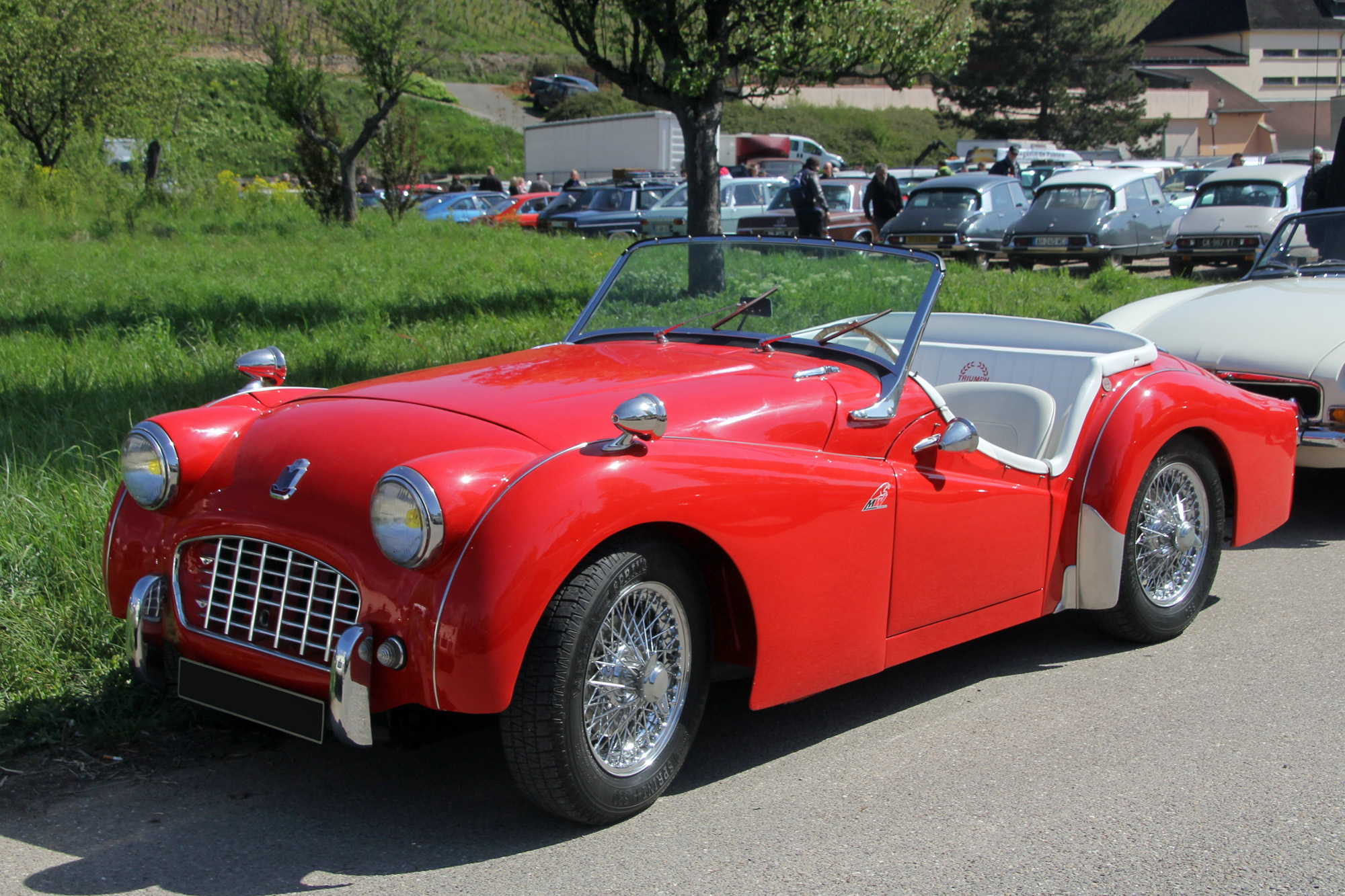 Triumph TR3