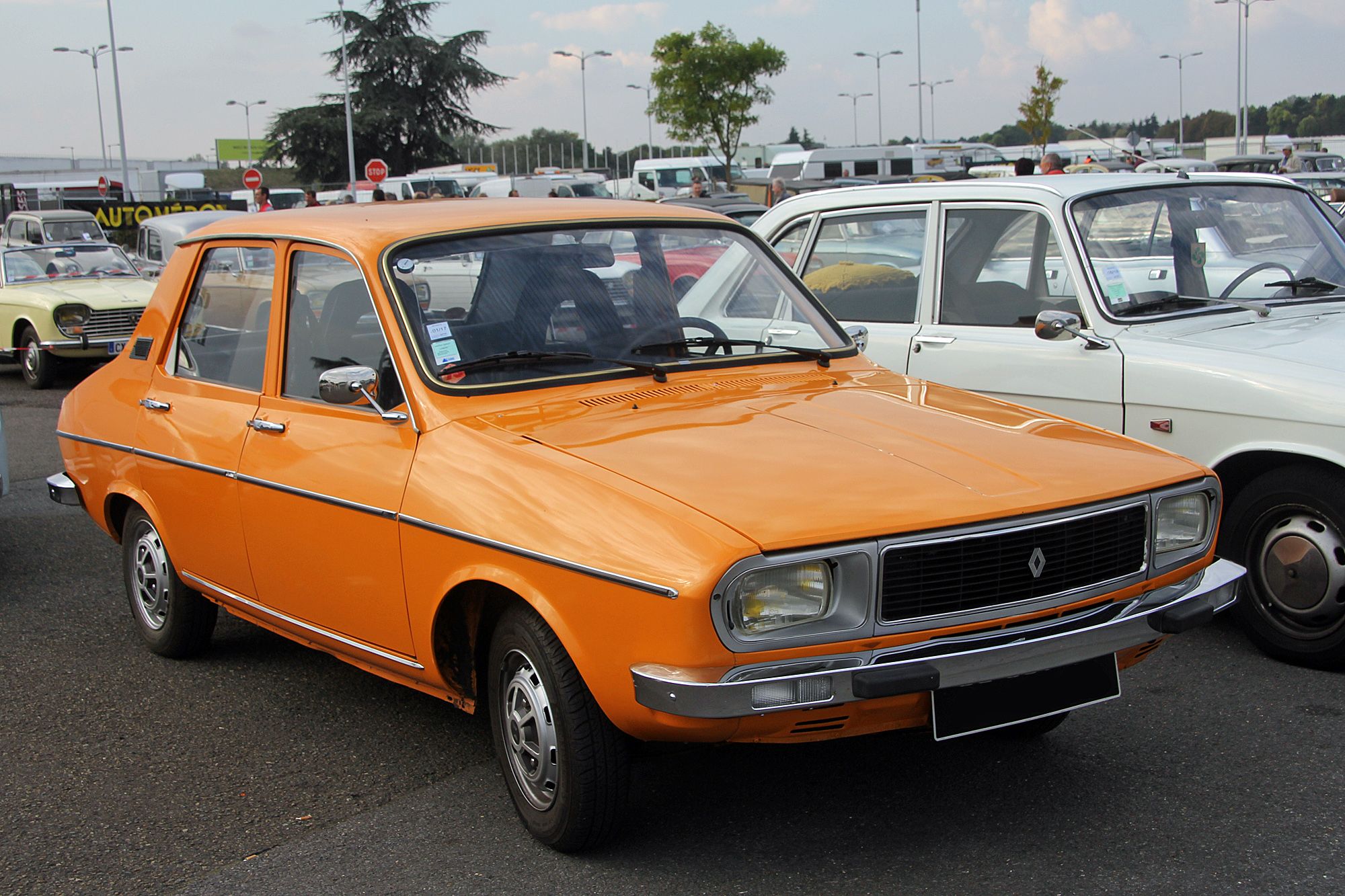 Renault 113 old