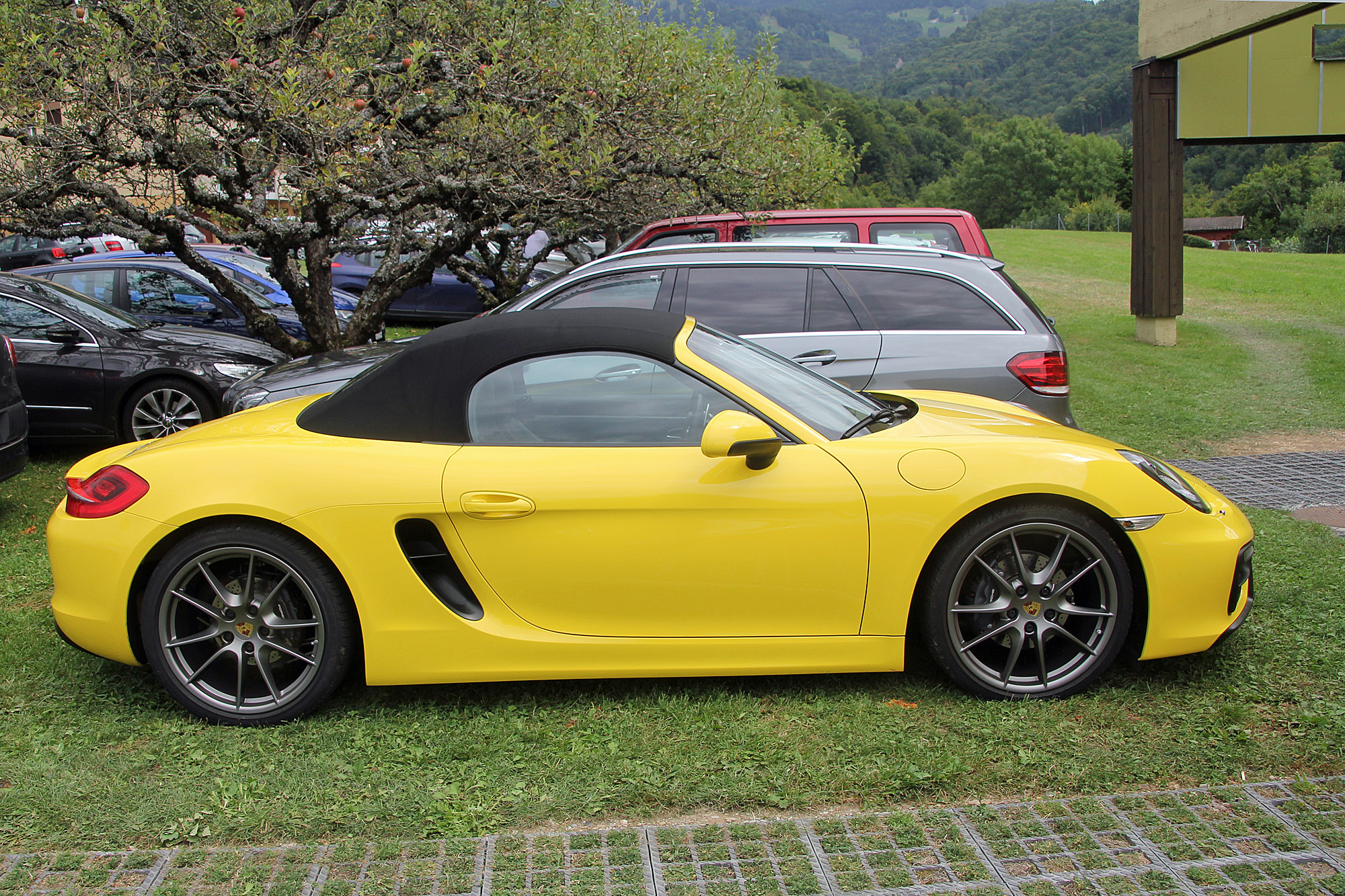 Porsche  Boxster 981