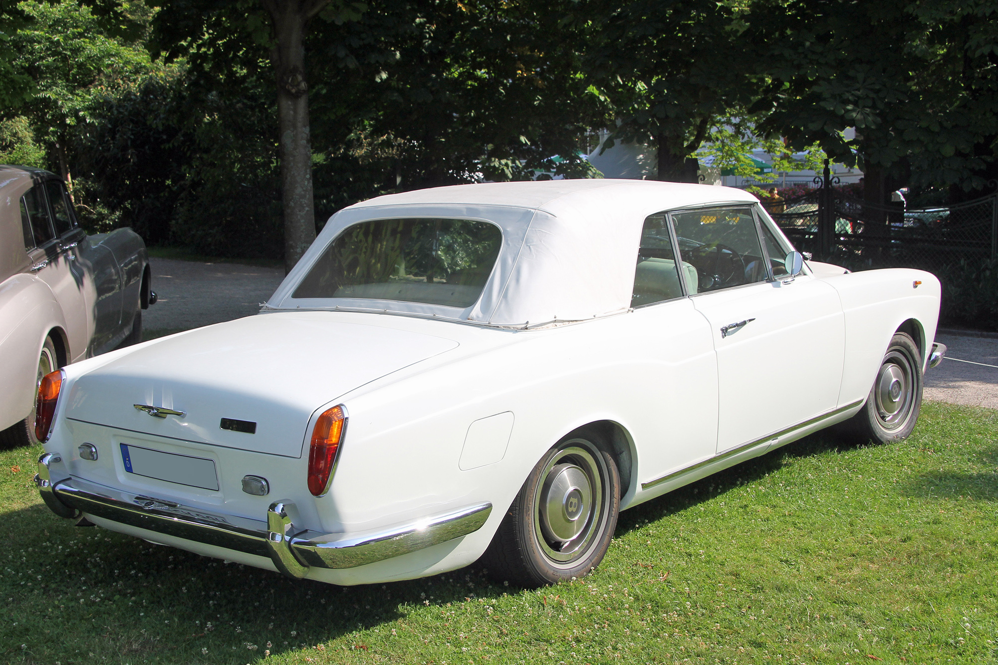 Bentley Corniche