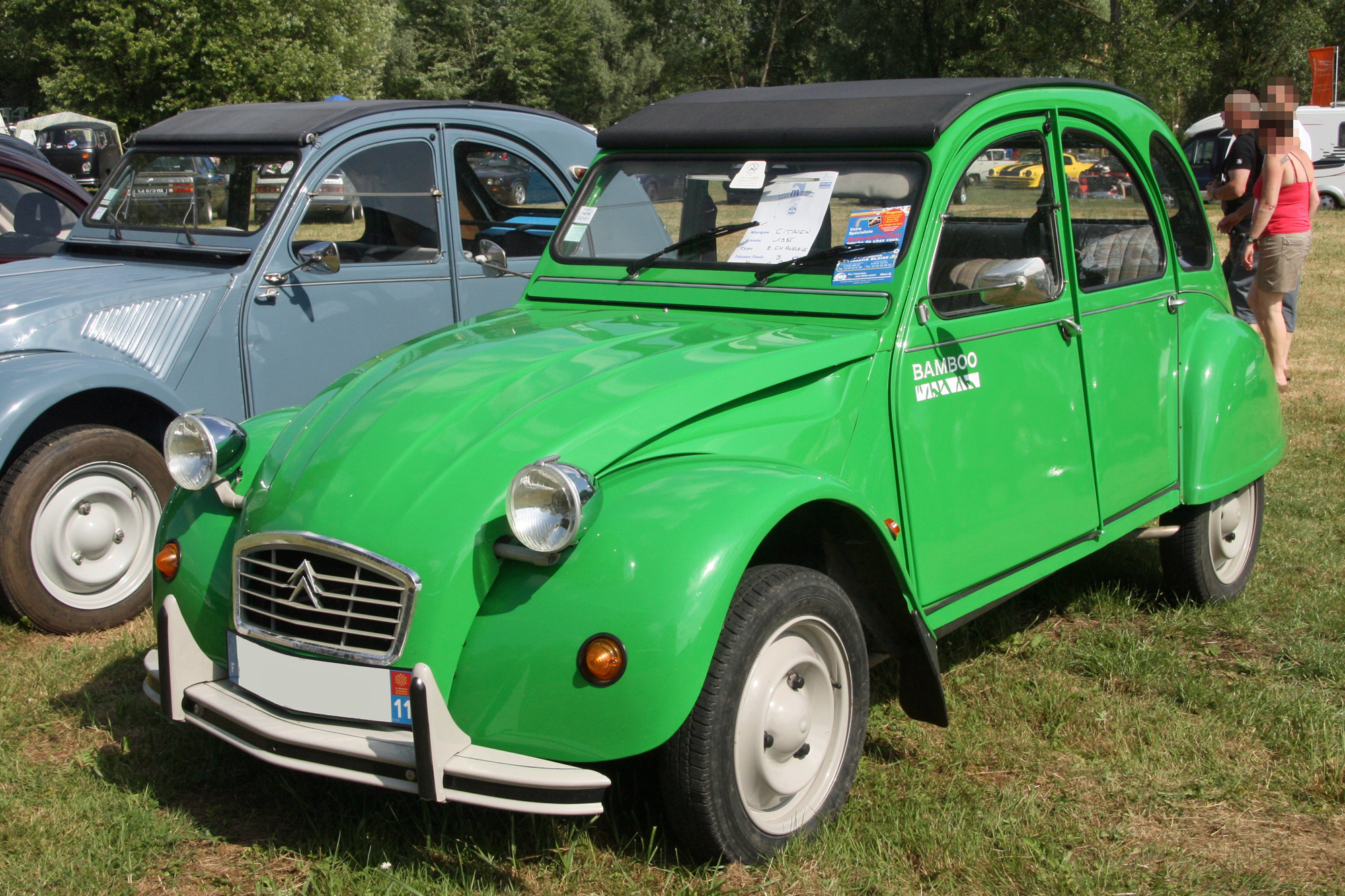 Citroën 2cv Bamboo